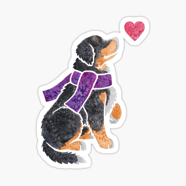 Watercolour Bernese Sticker