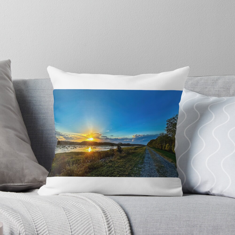 Item preview, Throw Pillow designed and sold by tkdgirlms.