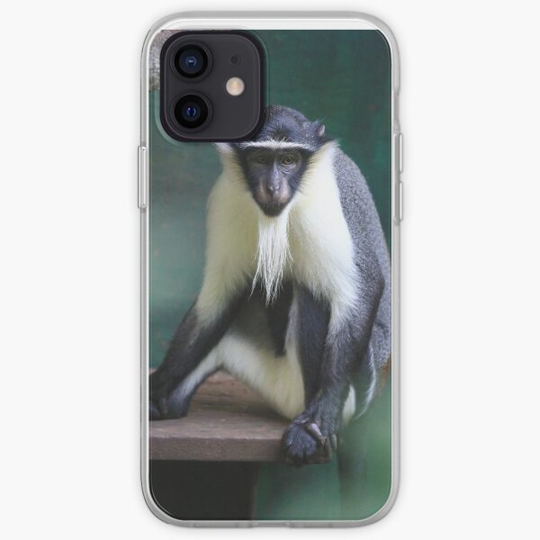 Critically Endangered Roloway Monkey Gifts iPhone Soft Case