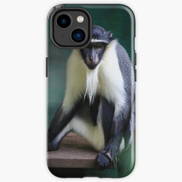 Critically Endangered Roloway Monkey Gifts iPhone Tough Case