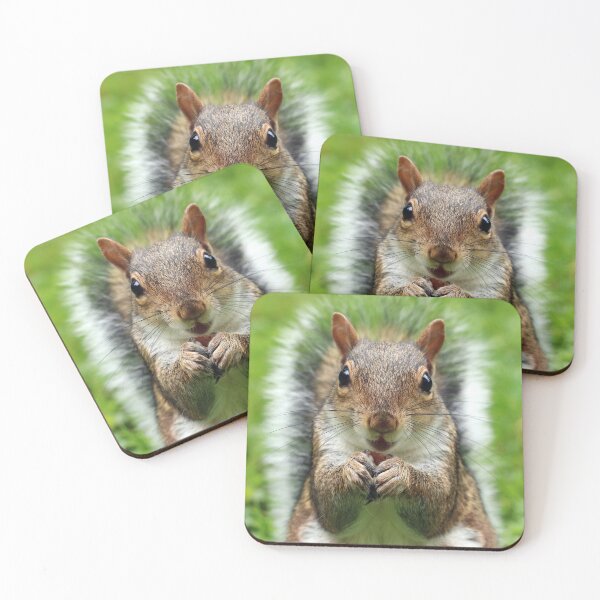 Item preview, Squirrel designed and sold by fourretout.