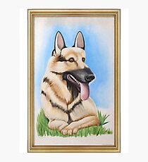 Its Always Sunny - Hitlers Dog Photographic Print