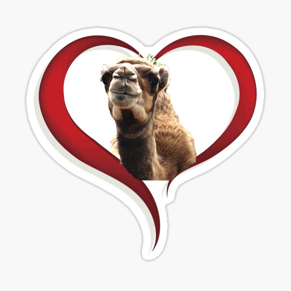 Groot the Baby Camel Sticker