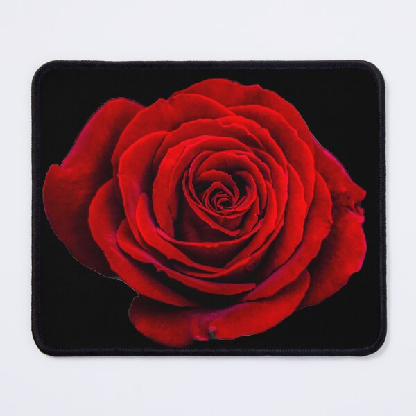 Item preview, Beautiful Red Rose on Black designed and sold by simpleones.
