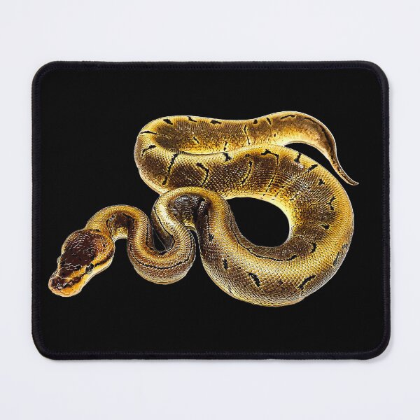 Item preview, Ball Python black pastel pinstripe cypress designed and sold by Elarex.