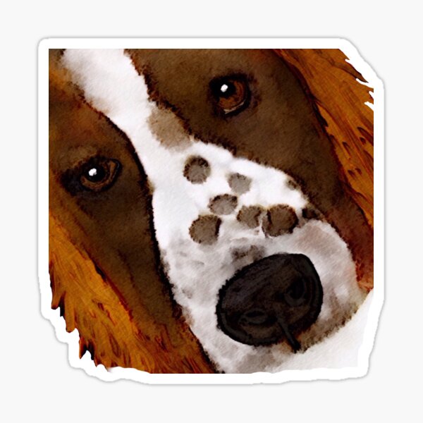 Item preview, Welsh Springer Spaniel Art designed and sold by Karen Harding Art and Illustration .