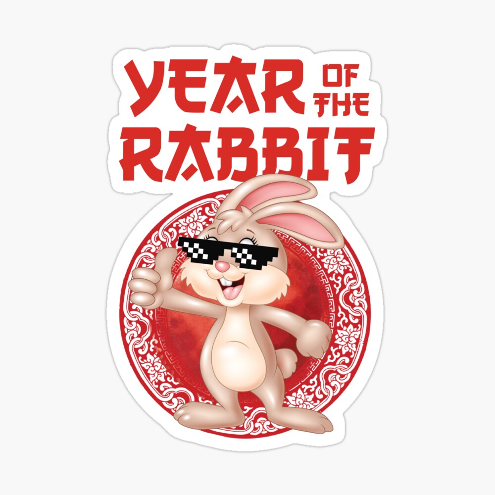 Color Your Own 2023 Chinese New Year of the Rabbit Fuzzy Magnets