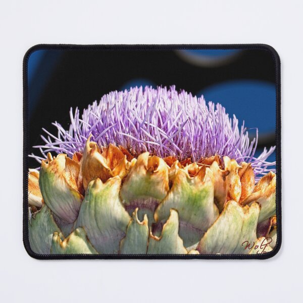 Item preview, First Closeups in 2023 (5) designed and sold by Wolf Sverak Photography.