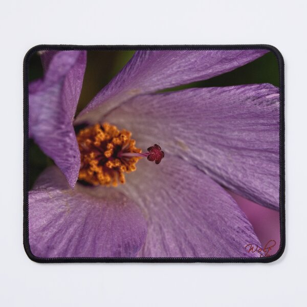 Item preview, First Closeups in 2023 (3) designed and sold by Wolf Sverak Photography.