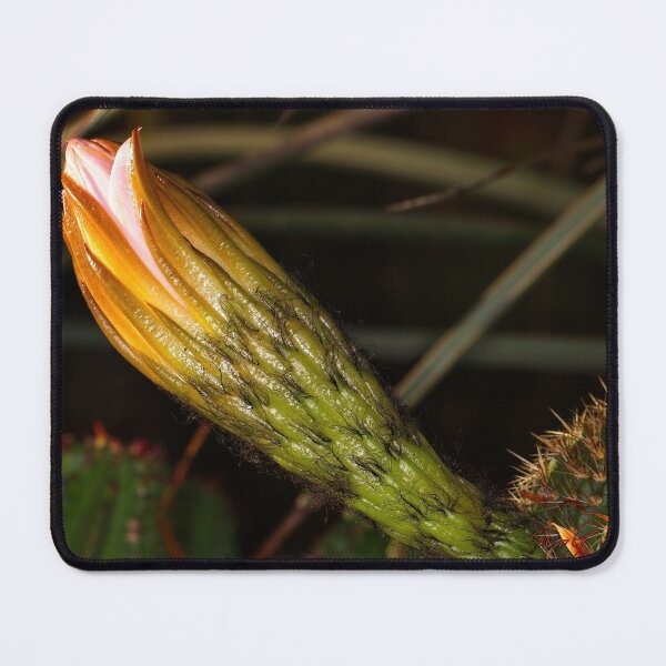 Item preview, First Closeups in 2023 (2) designed and sold by Wolf Sverak Photography.
