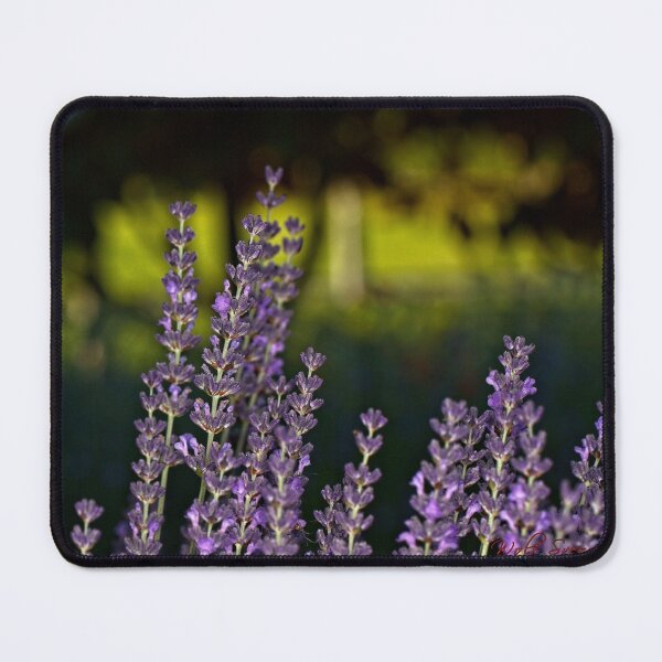 Item preview, First Closeups in 2023 (1) designed and sold by Wolf Sverak Photography.