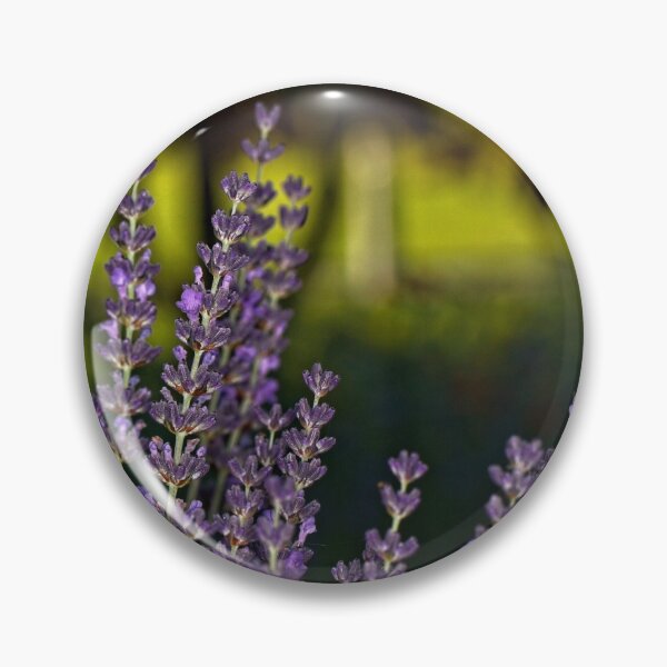 Item preview, First Closeups in 2023 (1) designed and sold by Wolf Sverak Photography.