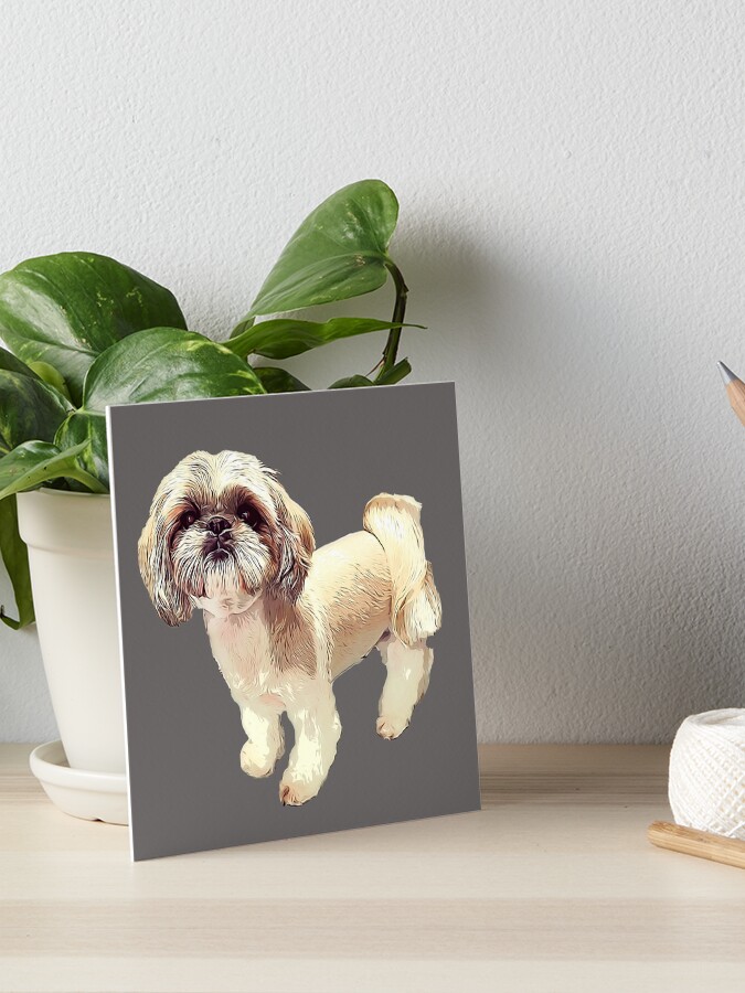 Shih tzu outlet themed gifts