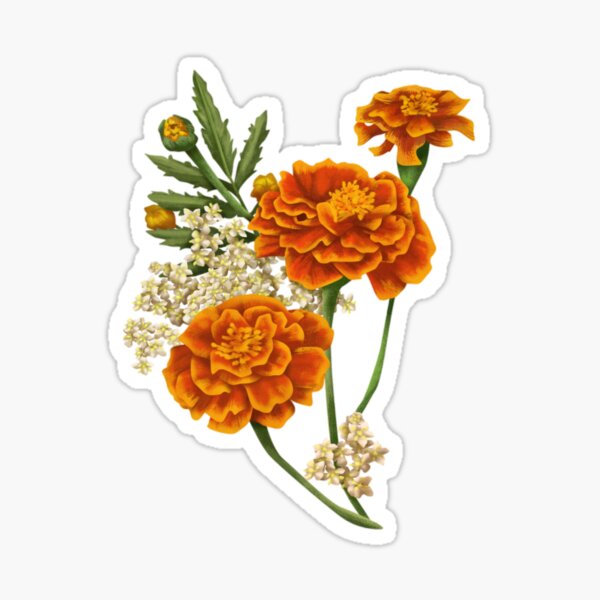 Aperçu de l'œuvre Souci créée et vendue par Letter & Petal.