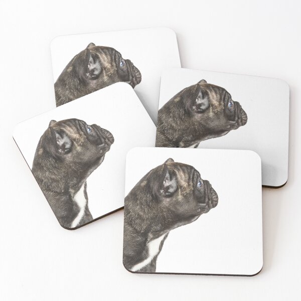 Item preview, Curious designed and sold by ernest123.