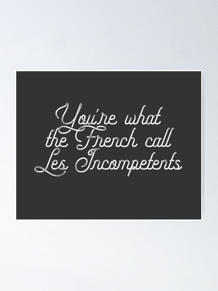 you-re-what-the-french-call-les-incompetents-home-alone-christmas