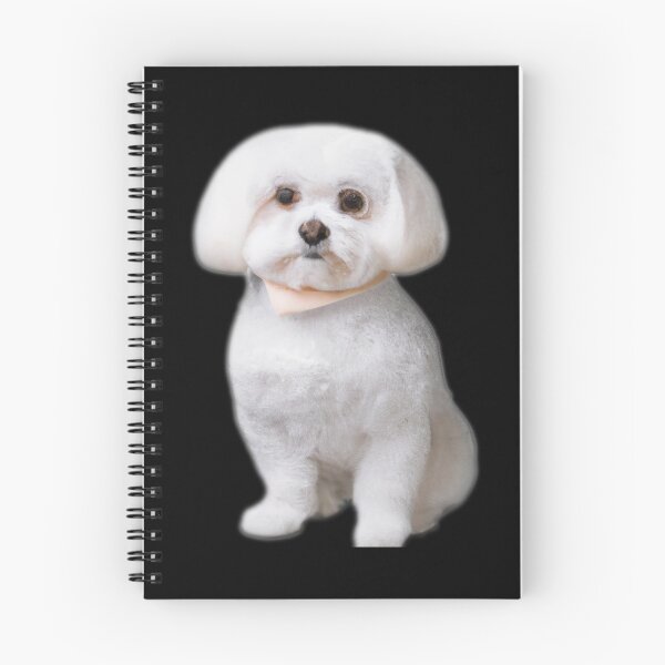 Item preview, Maltese Dog -- 3D  designed and sold by glitchman2.