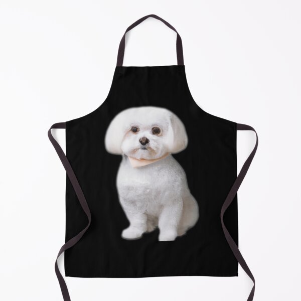 Item preview, Maltese Dog -- 3D designed and sold by glitchman2.