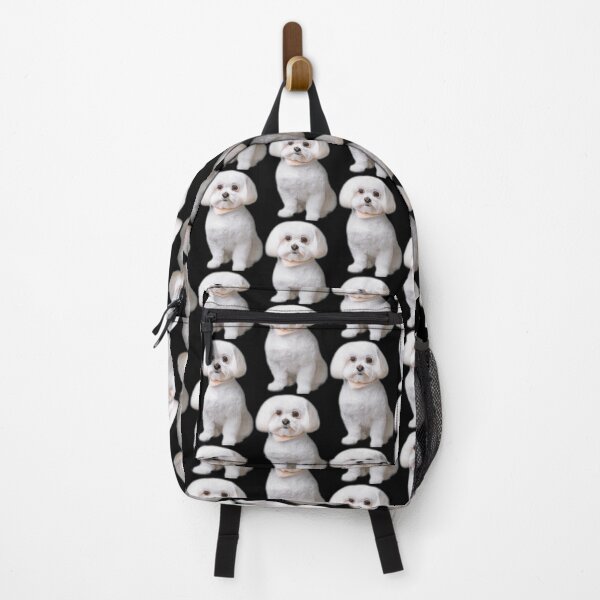 Item preview, Maltese Dog -- 3D designed and sold by glitchman2.