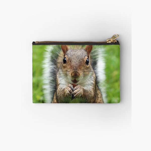 Item preview, Squirrel designed and sold by fourretout.