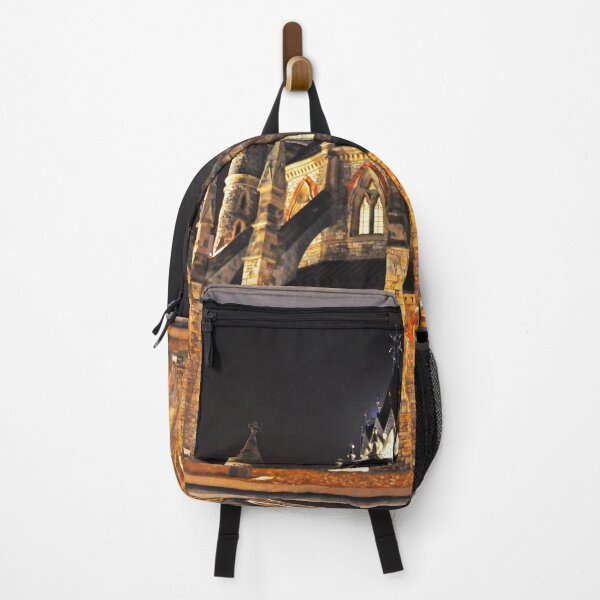 Item preview, A Chilly Night Outside The Canadian Parliamentary Library designed and sold by Brian Shaw.