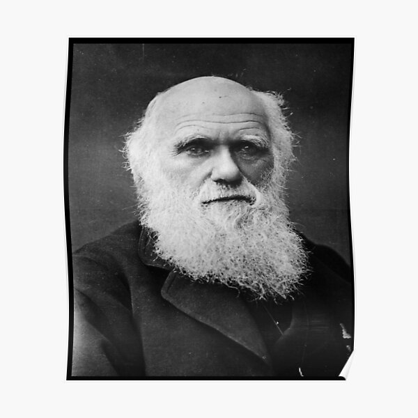 Charles Darwin Evolution Theory Posters for Redbubble