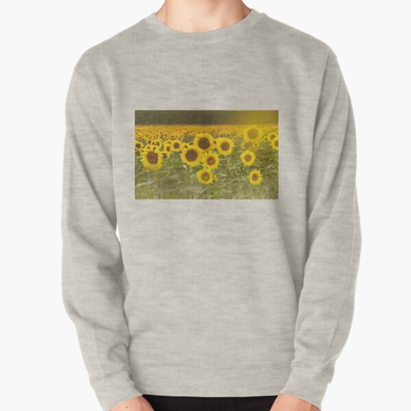 Sunlit field of Sunflowers Pullover Sweatshirt