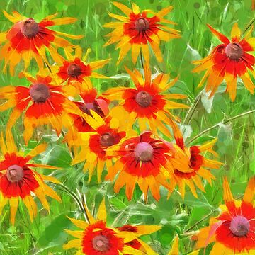 Artwork thumbnail, Flowers by blackhalt