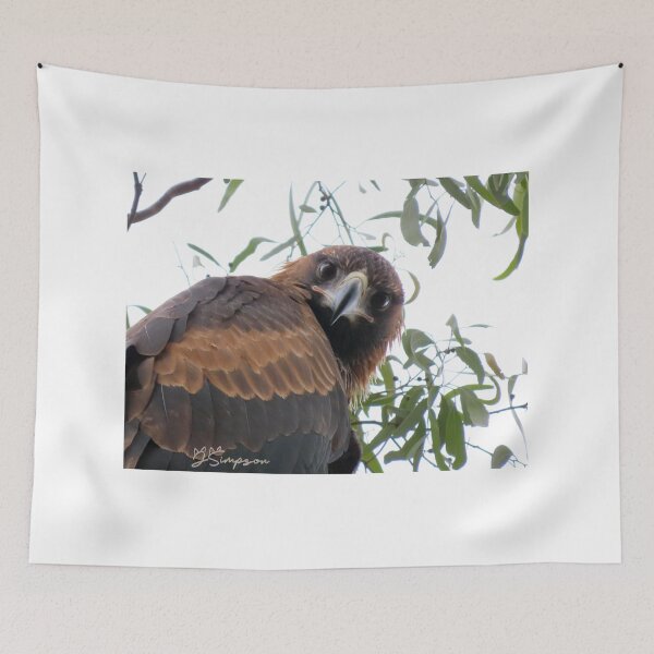 Item preview, Wedgetail eagle designed and sold by J7Simpson.