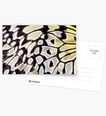 Butterfly Wing Postcards
