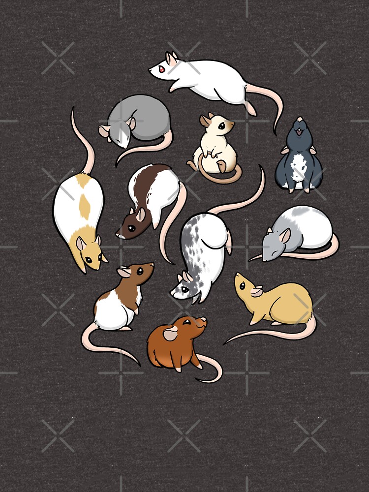 Rats by bgolins