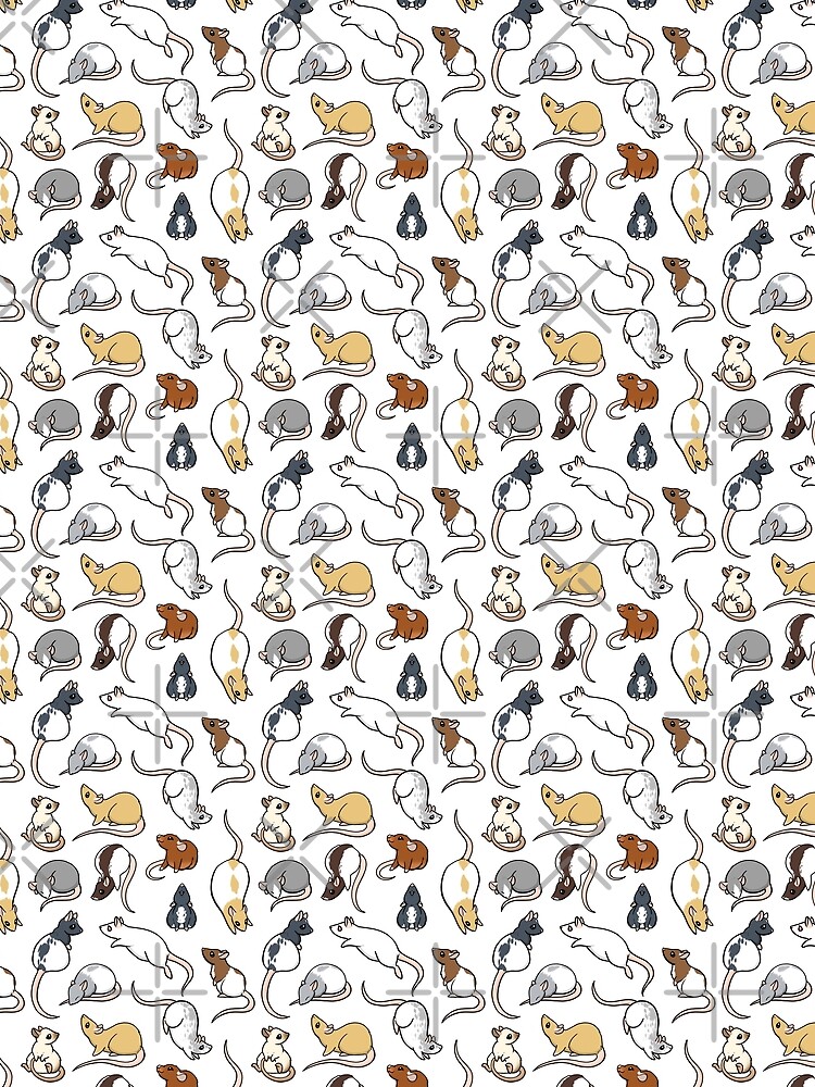 Rats by bgolins