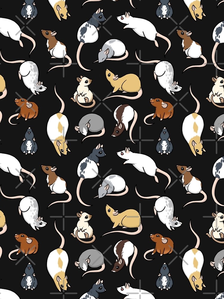 Rats by bgolins