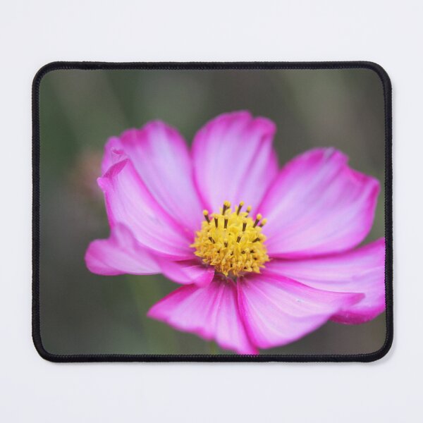 Item preview, Open-hearted designed and sold by ASTRID EWING.