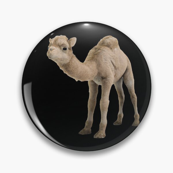 Item preview, Cute Baby Camel -- 3D  designed and sold by glitchman2.