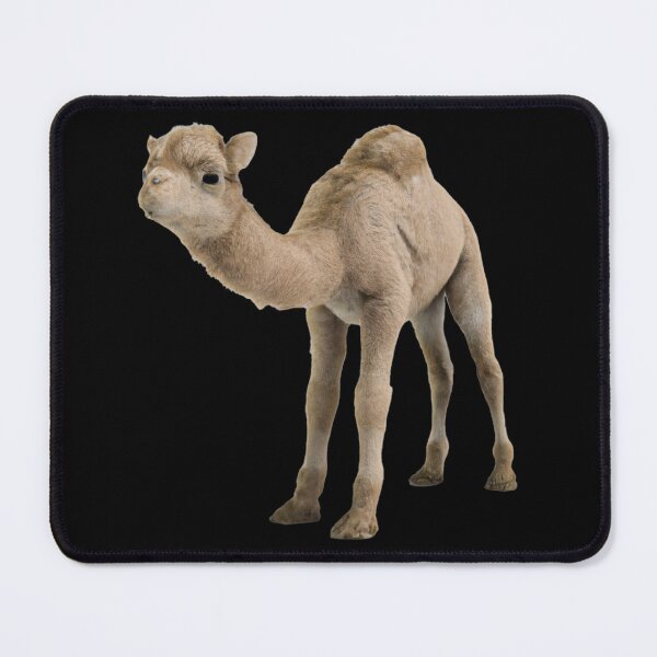 Item preview, Cute Baby Camel -- 3D designed and sold by glitchman2.