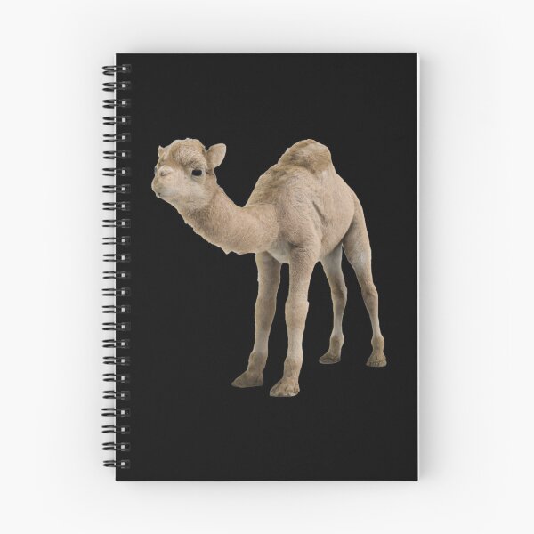 Item preview, Cute Baby Camel -- 3D  designed and sold by glitchman2.