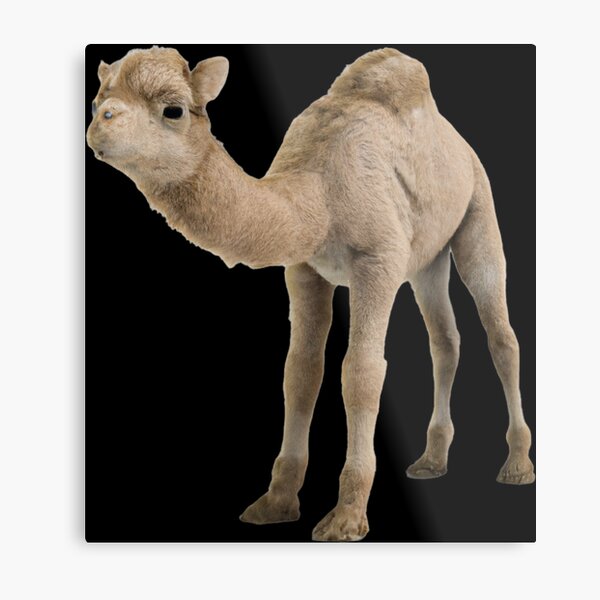 Item preview, Cute Baby Camel -- 3D  designed and sold by glitchman2.