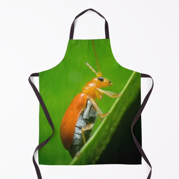 Item preview, A red pumpkin beetle (Aulacophora foveicollis) designed and sold by AvonPerception.