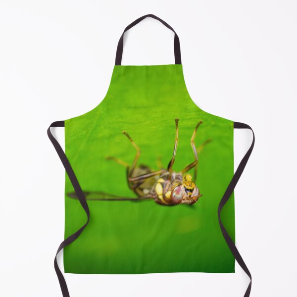 Item preview, A melon fly (Bactrocera cucurbitae) designed and sold by AvonPerception.