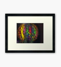 Ball Framed Print