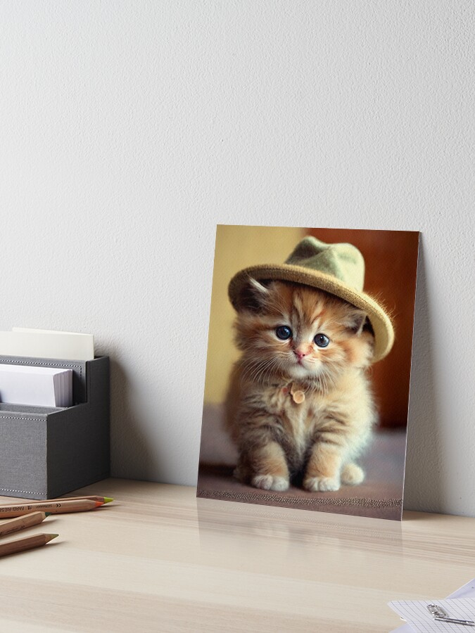 Cute Cat Kitten Wearing a Hat