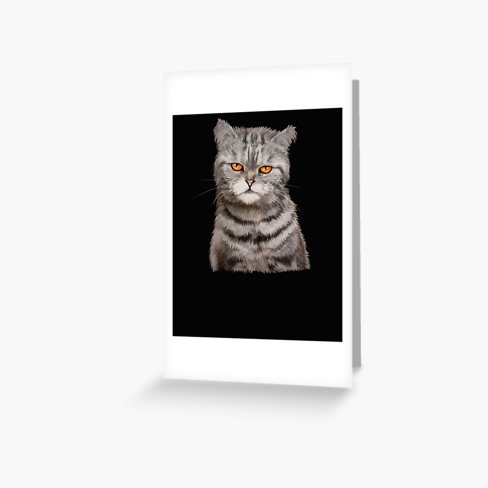 Angry Cat Photographic Print for Sale by TriforcePika