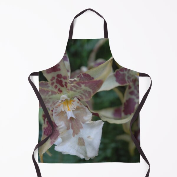 Artikelvorschau, Kandy-Tänzer-Orchidee (Oncidium sphacelatum) botanischer Blumengarten-Orchideendekor entworfen und verkauft von VistaViews.