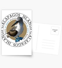 Galapagos Islands Blue footed Booby Postcards