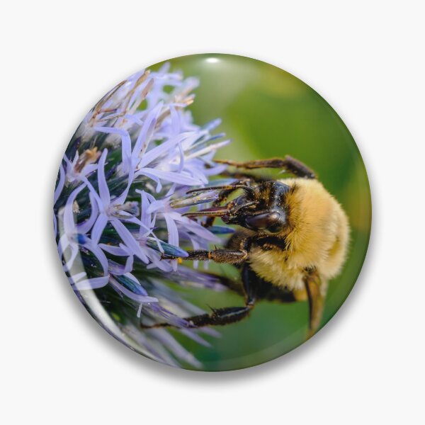 Item preview, Small Globe Thistle With Bee 10 designed and sold by Robert Alsop.