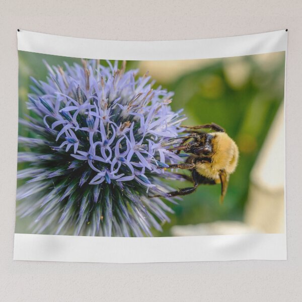 Item preview, Small Globe Thistle With Bee 10 designed and sold by Robert Alsop.