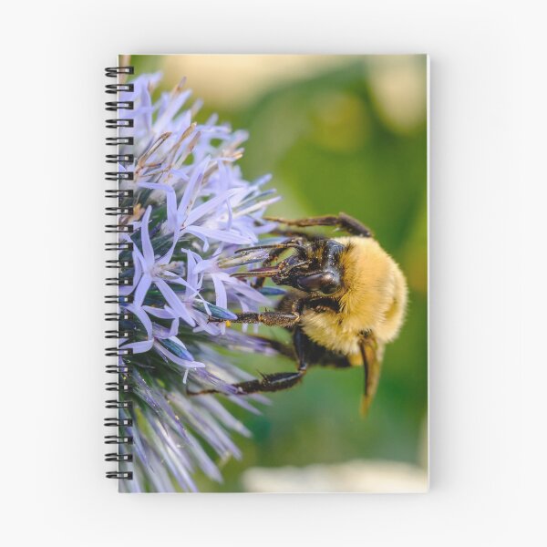 Item preview, Small Globe Thistle With Bee 10 designed and sold by Robert Alsop.