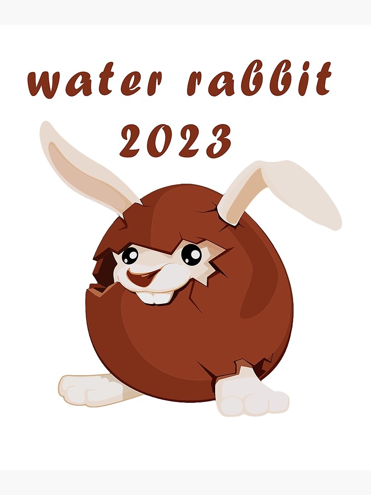 "Water Rabbit Chinese New Year 2023" Poster for Sale by Soudesign99