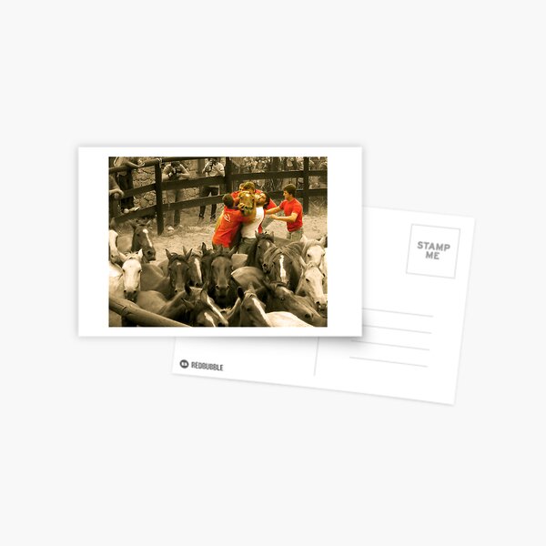 Rapa das Bestas Postcard